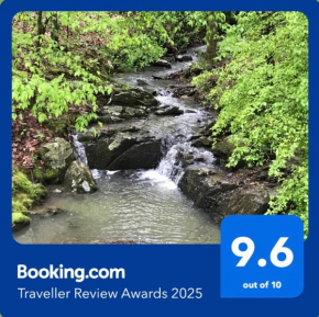 Secluded Home with Mini Waterfall and a Creek in Hot Springs